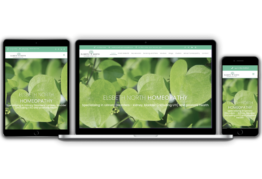 Elsbeth North Homeopathy website designed by Websites by Dave Parker